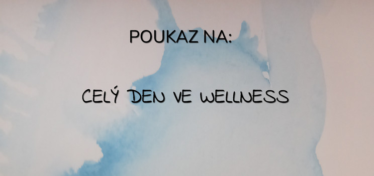Celý den ve wellness