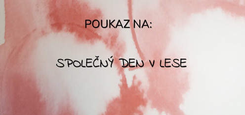 Den v lese