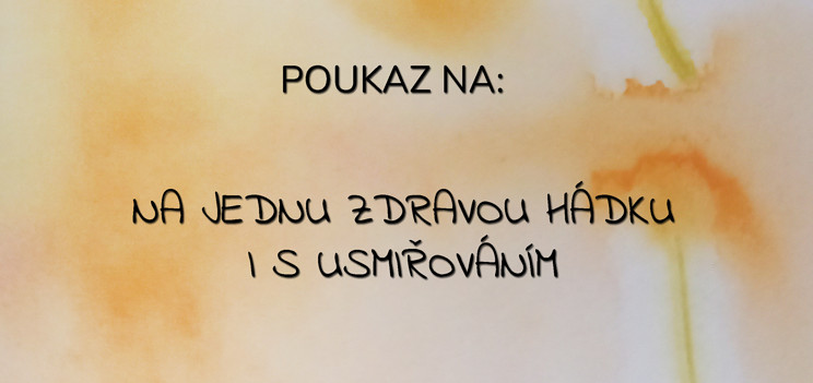 Hádka
