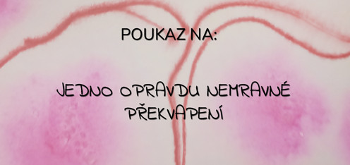 Nemravné překvapení